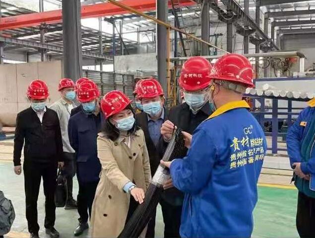 貴陽(yáng)市常委、市工商聯(lián)、廣東總商會(huì)一行到我廠調(diào)研